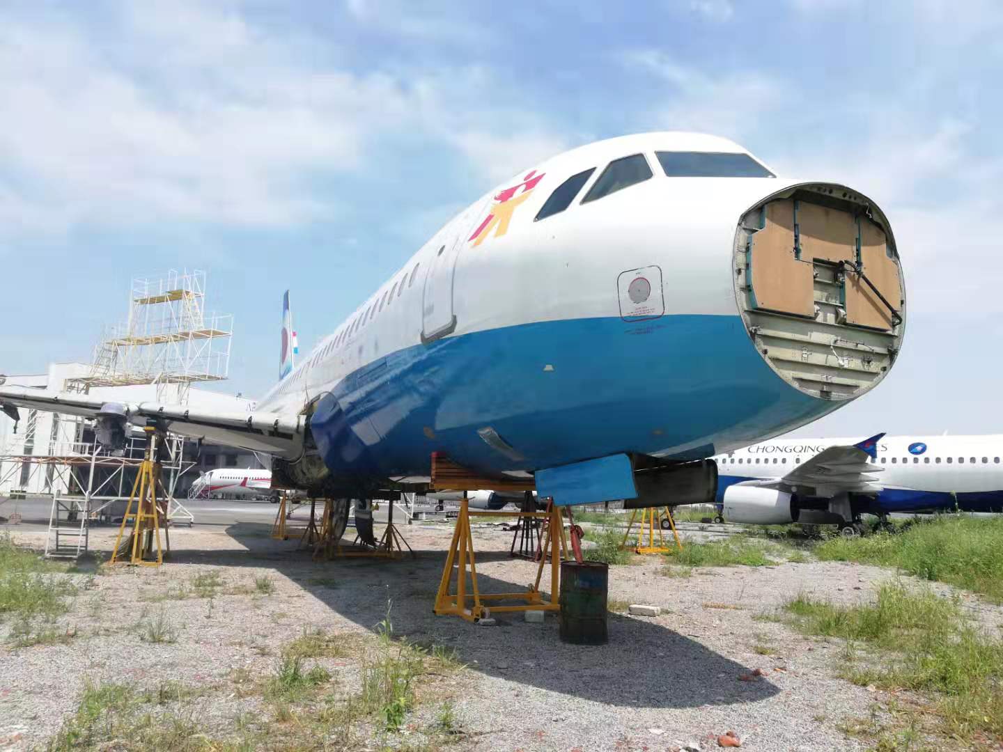 海洋之神(8590·官方认证)登录入口