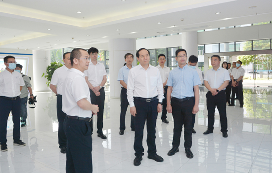 ����֮��(8590���ٷ���֤)��¼���