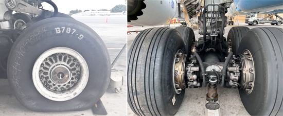 ����֮��(8590���ٷ���֤)��¼���